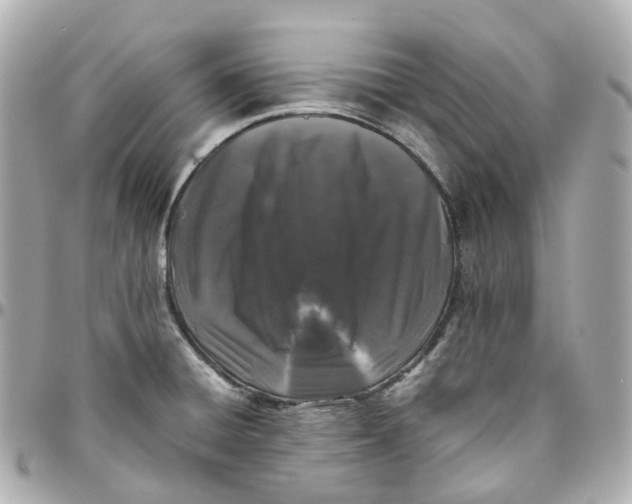 X0000095911428200802011140