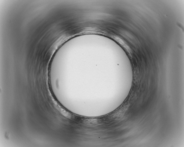 X0000095911431200802011140