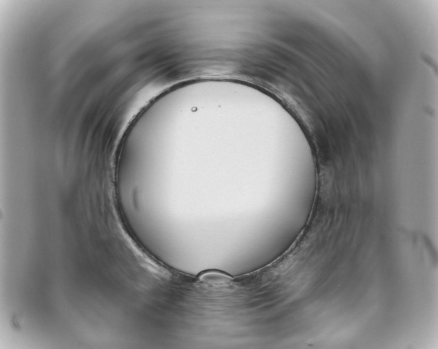 X0000095911432200802011141