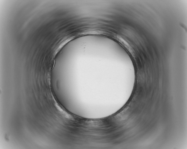 X0000095911433200802011141