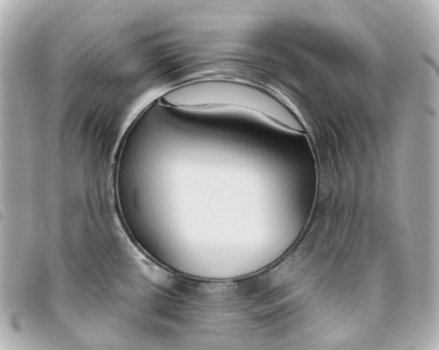 X0000095911434200802011141