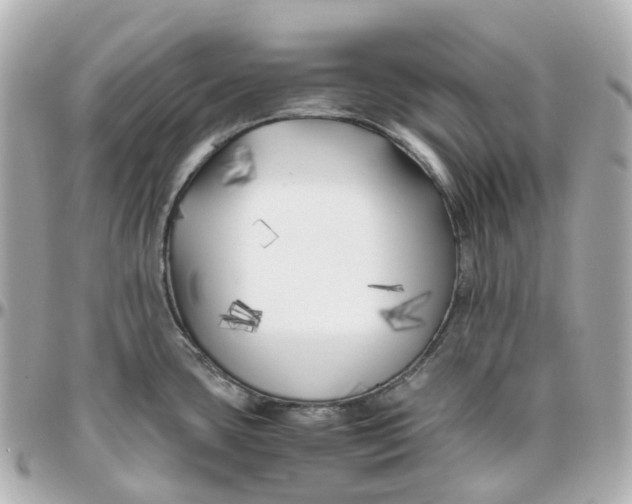 X0000095911435200802011141