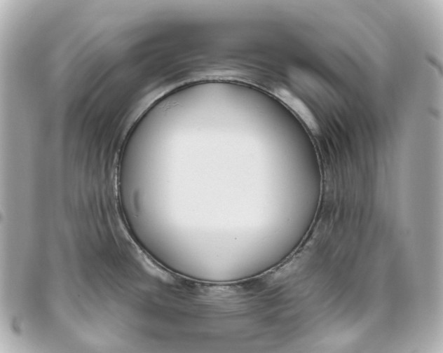 X0000095911436200802011141