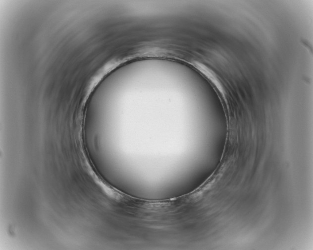 X0000095911437200802011141