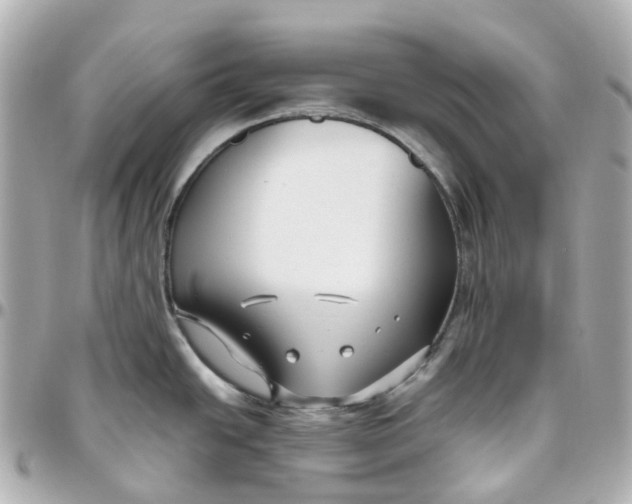 X0000095911438200802011141