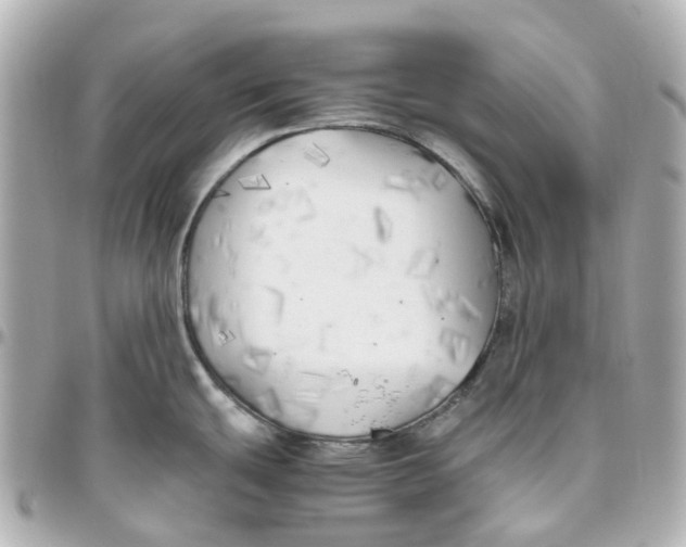 X0000095911439200802011141