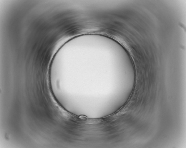 X0000095911440200802011141