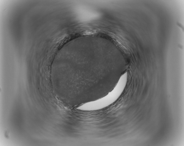 X0000095911441200802011140