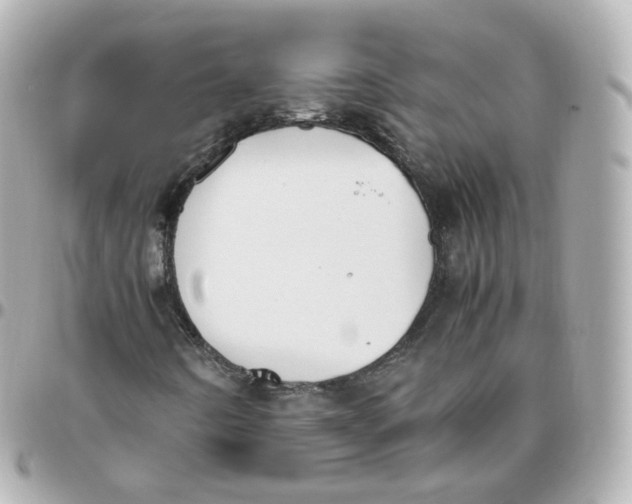 X0000095911442200802011140