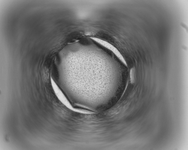 X0000095911443200802011140