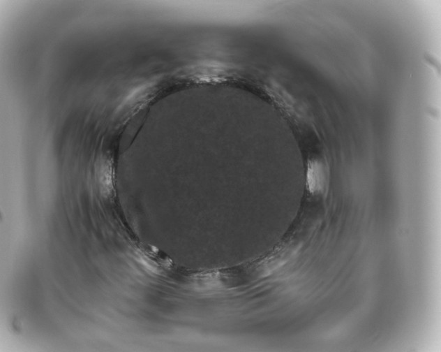 X0000095911444200802011140