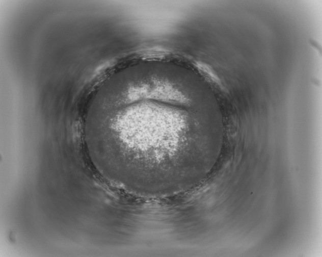 X0000095911445200802011140