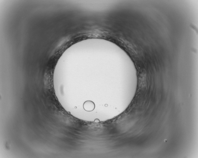 X0000095911446200802011140