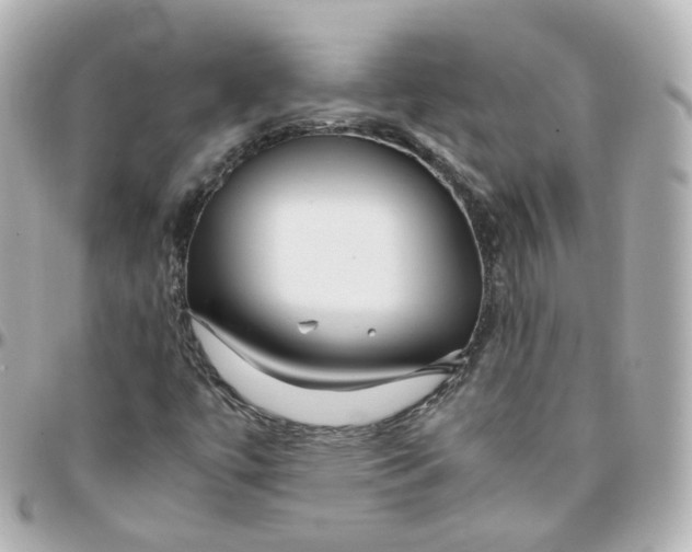 X0000095911447200802011140