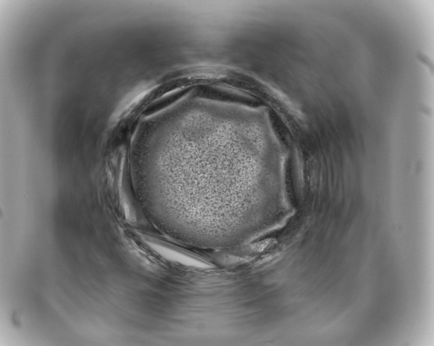 X0000095911448200802011140