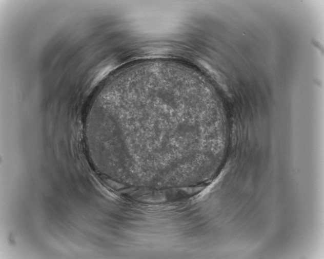 X0000095911449200802011140