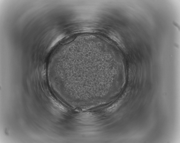 X0000095911450200802011140