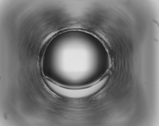 X0000095911452200802011140