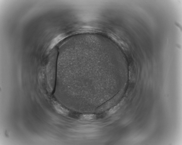 X0000095911453200802011140