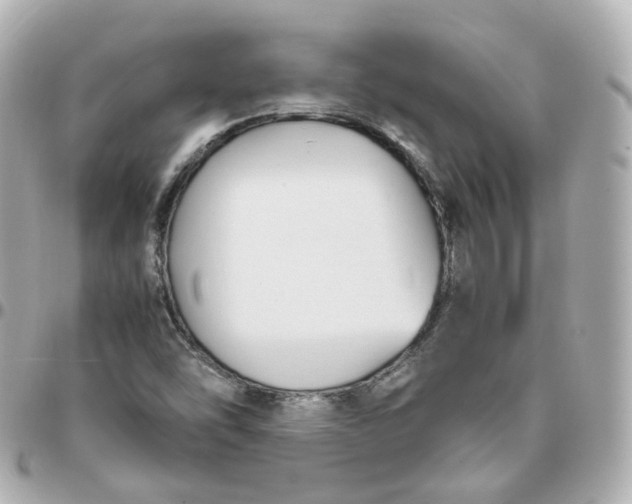 X0000095911454200802011140