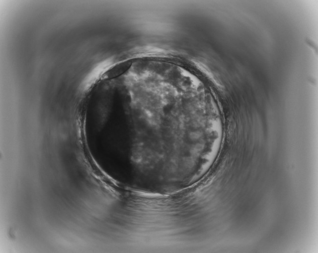 X0000095911455200802011140