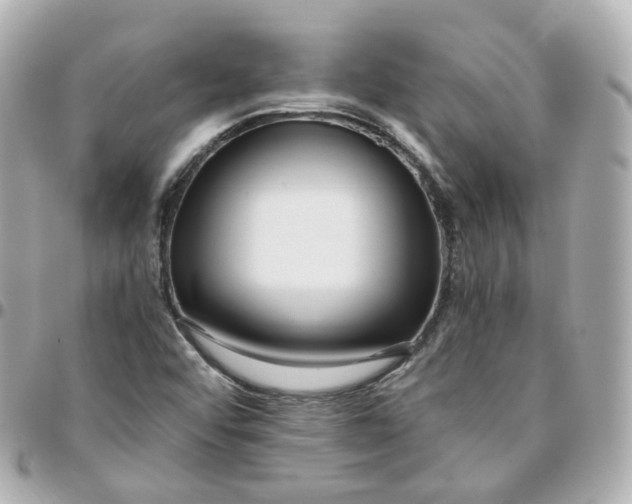 X0000095911456200802011140