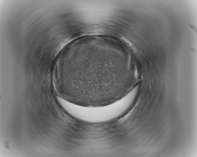 X0000095911457200802011140