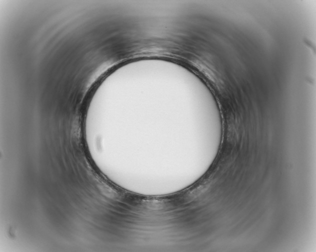 X0000095911458200802011140