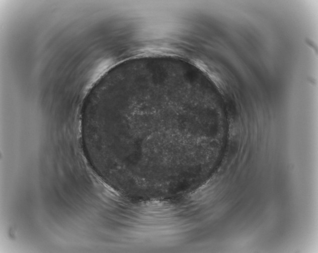 X0000095911459200802011140