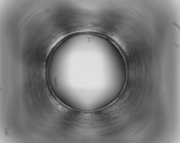 X0000095911460200802011140