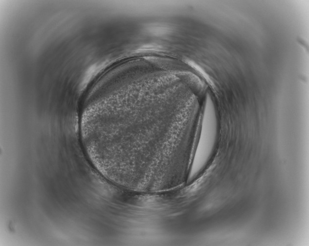 X0000095911461200802011140