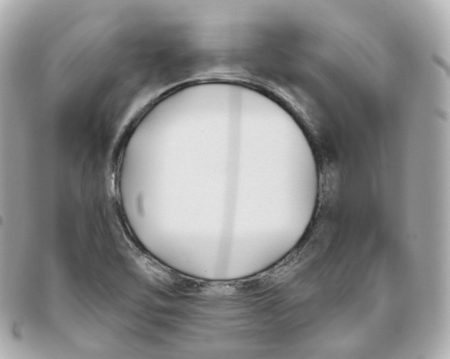 X0000095911462200802011140