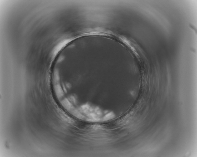 X0000095911463200802011140