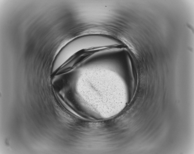 X0000095911465200802011140