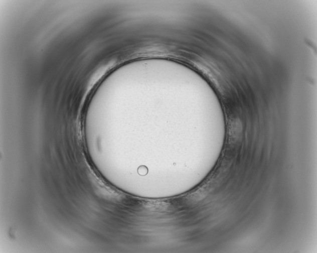 X0000095911466200802011140