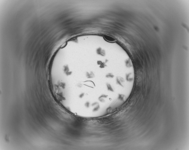 X0000095911467200802011140