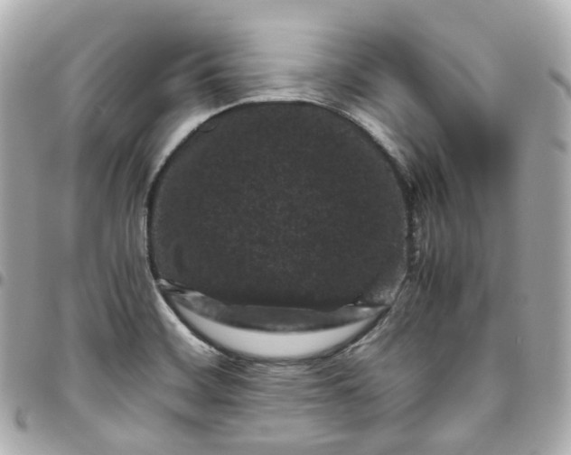 X0000095911468200802011140