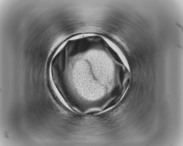 X0000095911469200802011140