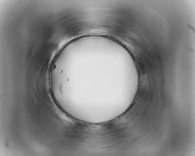 X0000095911470200802011140