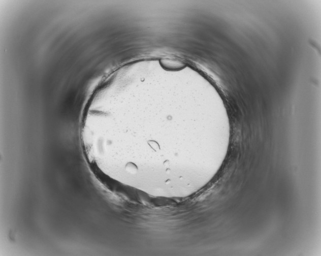 X0000095911471200802011140