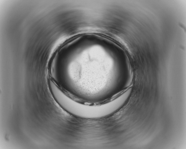 X0000095911472200802011140