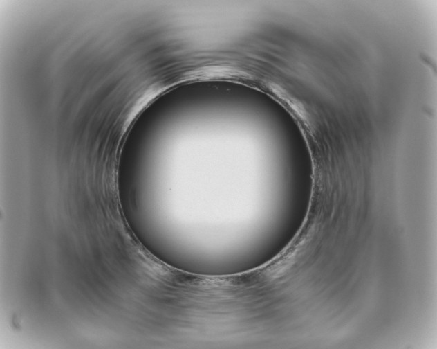 X0000095911473200802011140