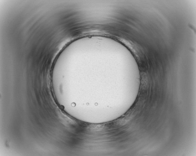 X0000095911474200802011140