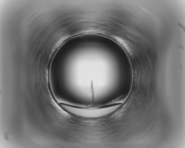 X0000095911476200802011139