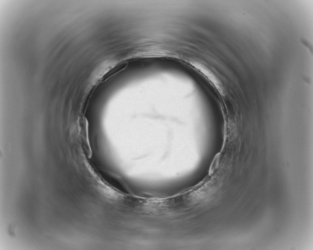 X0000095911477200802011139