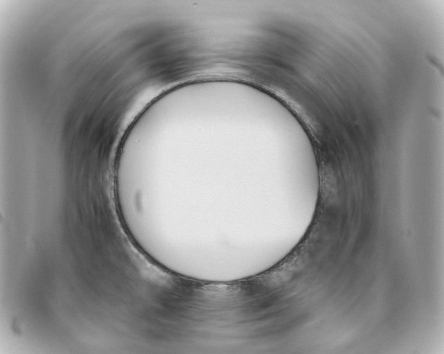 X0000095911478200802011139