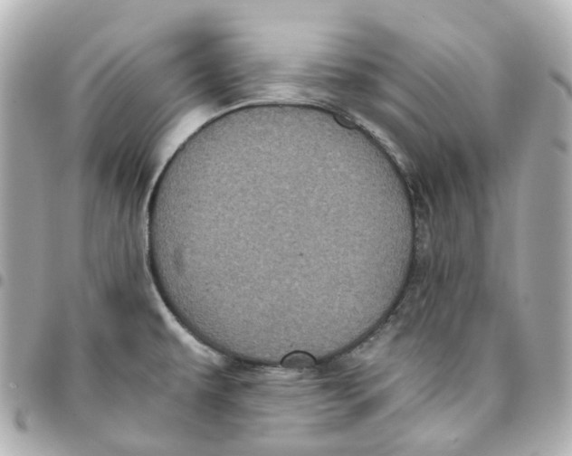 X0000095911479200802011139