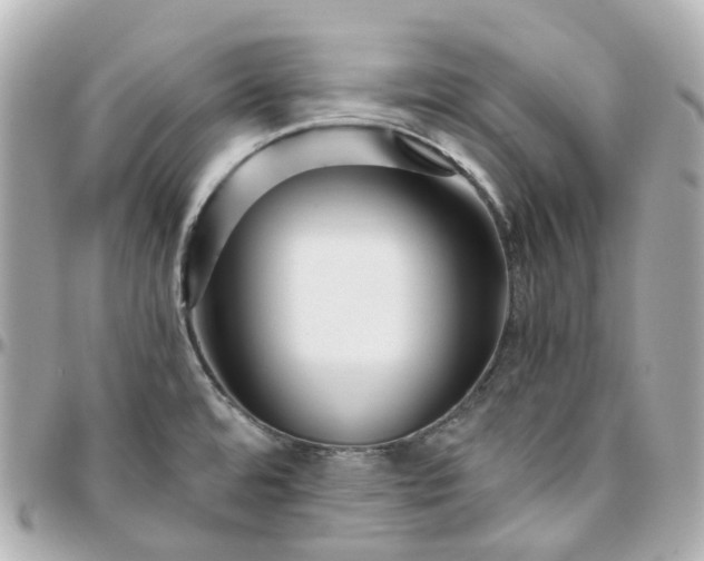 X0000095911480200802011139