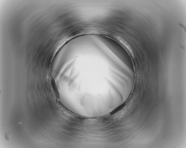 X0000095911481200802011139