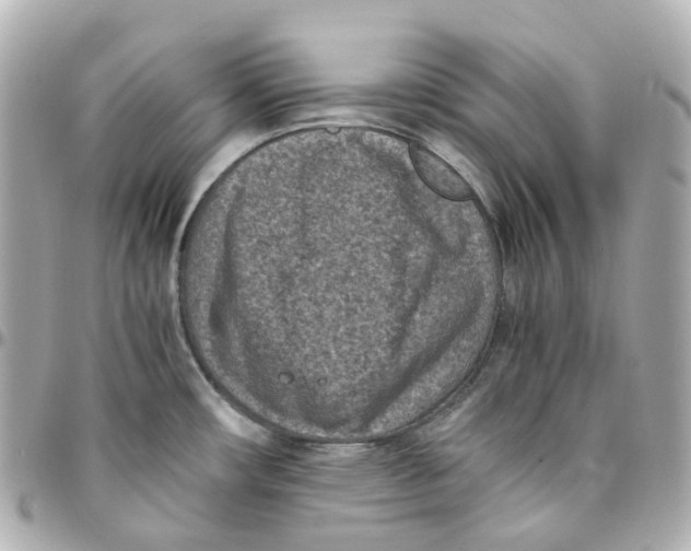 X0000095911482200802011139